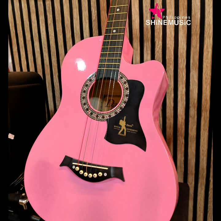 Davis acoustic Guitar Low action with truss rod Free Shipping and Cod