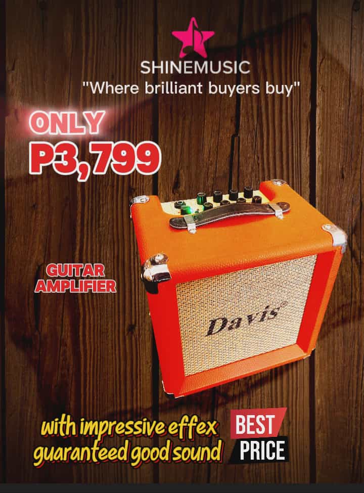 Davis Guitar Amp.  w/ built-in effex 15 watts