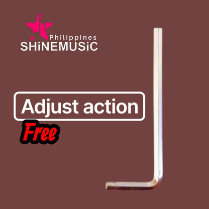 Global Acoustic Guitar Free Shipping Nationwide & COD