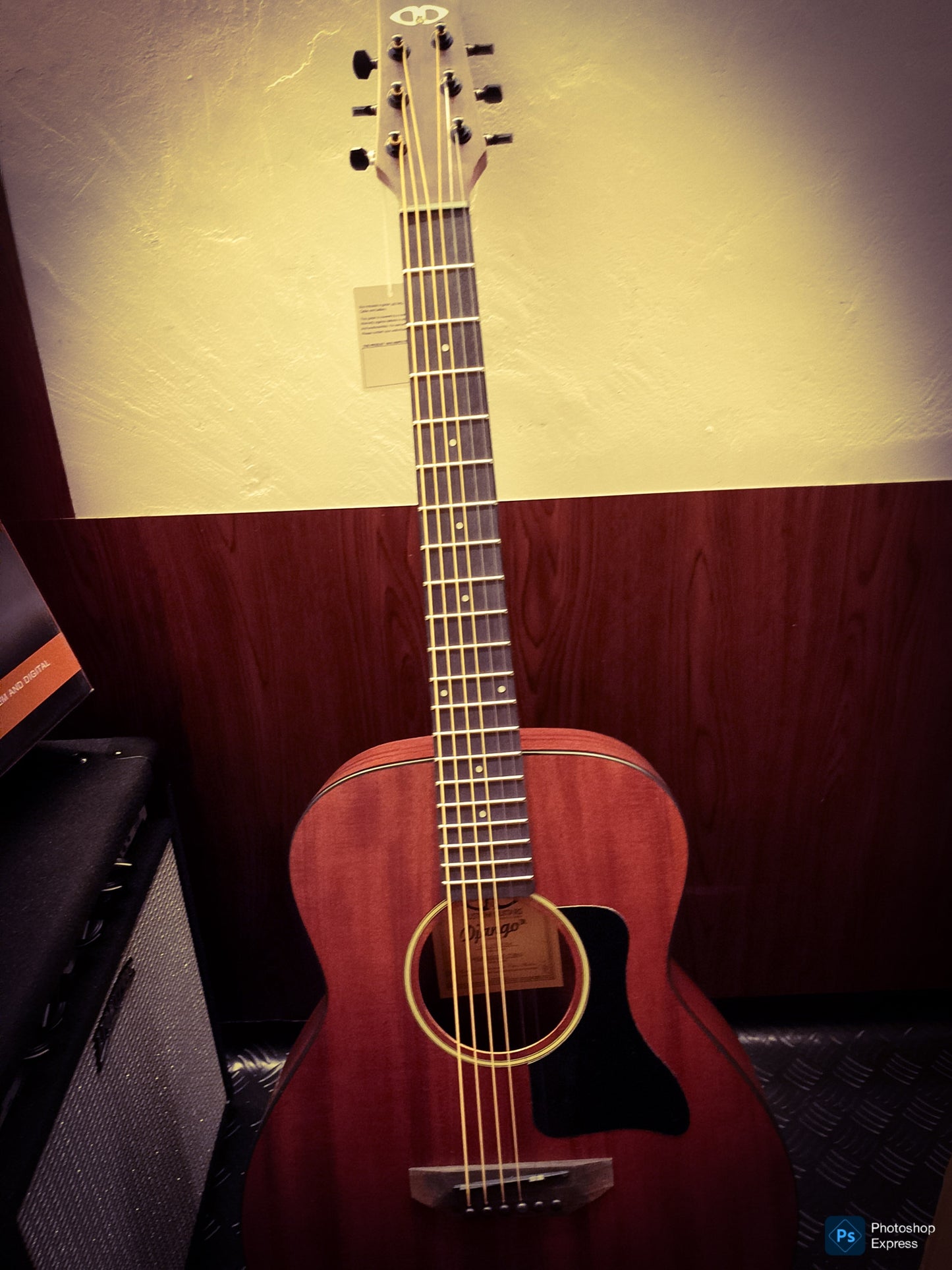 Django Jr Spruce/Mahogany Free Shipping + COD