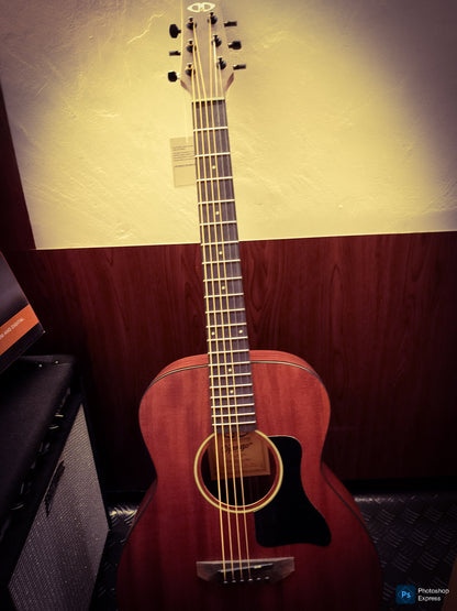 Django Jr Spruce/Mahogany Free Shipping + COD